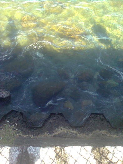 D33a0267 - Italia 2010