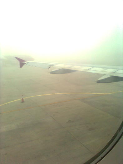 D33a0118 - Italia 2010