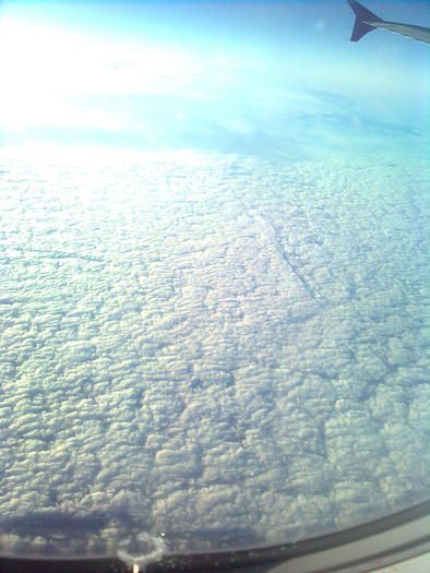 D33a0130 - Italia 2010