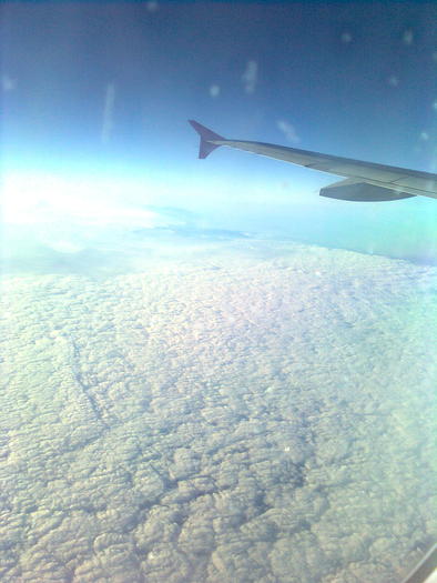 D33a0131 - Italia 2010