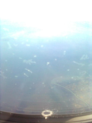 D33a0133 - Italia 2010