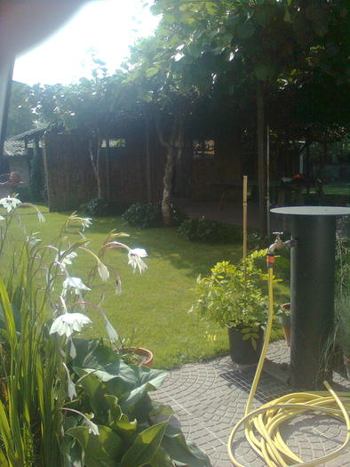 D33a0147 - Italia 2010