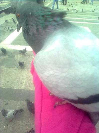 D33a0296 - Italia 2010