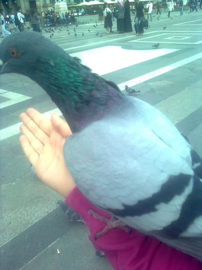 D33a0297 - Italia 2010