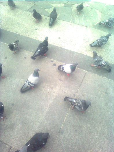 D33a0298 - Italia 2010