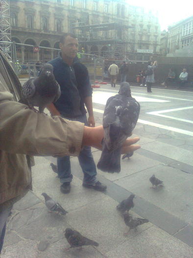 D33a0299 - Italia 2010