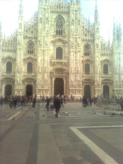 D33a0301 - Italia 2010