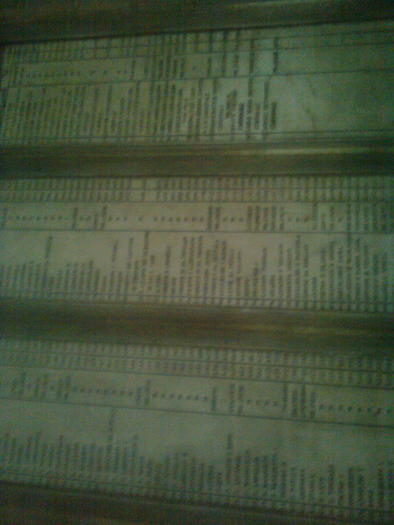 D33a0343 - Italia 2010