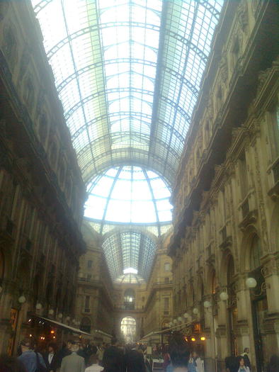 D33a0353 - Italia 2010