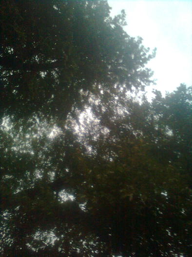 D33a0388 - Italia 2010