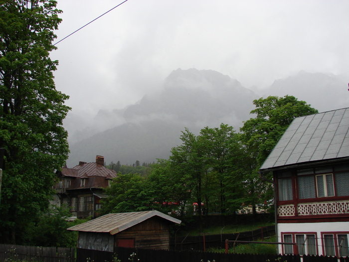 DSC00481 - Cetatea Rasnov