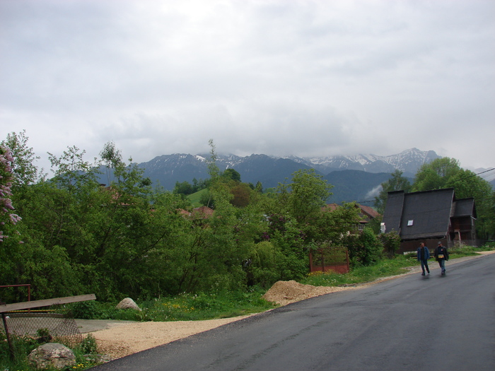 DSC00504