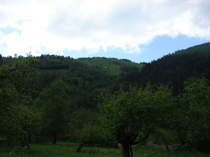 DSC00508