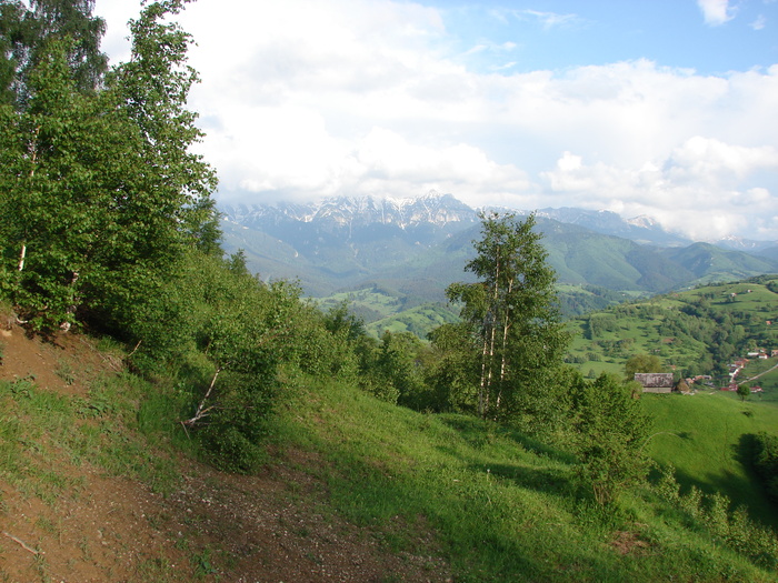 DSC00512 - Cetatea Rasnov