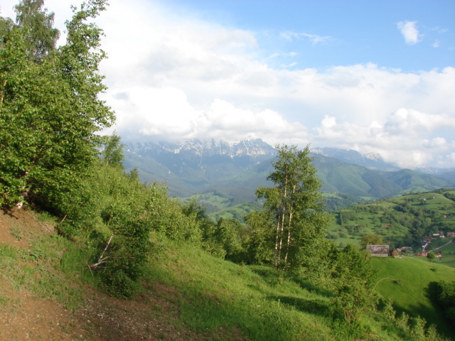 DSC00515