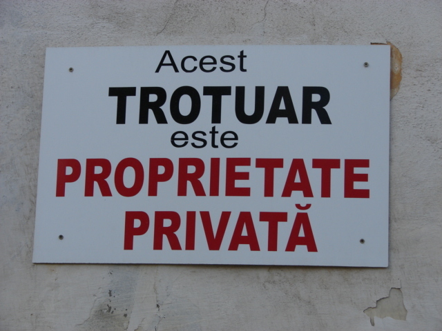 DSC00516