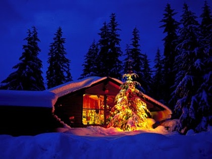 Copy(1) of Seasonal Delight - poze de craciun
