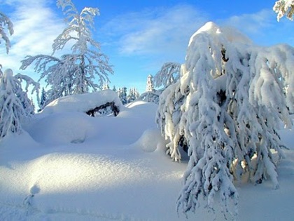 Dot_Winter_in_Norway_II_16