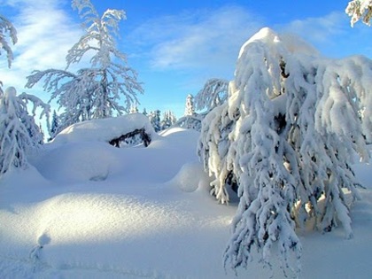 Dot_Winter_in_Norway_II_16 - poze de craciun