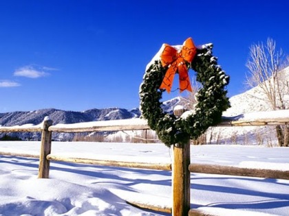 Snowy Wreath, Sun Valley, Indiana - poze de craciun