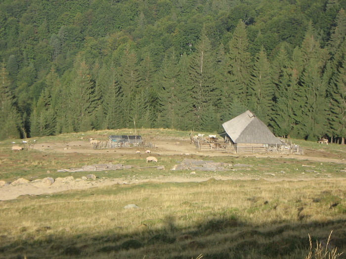 transalpina 07,09,2008 064 - PE TRANSALPINA