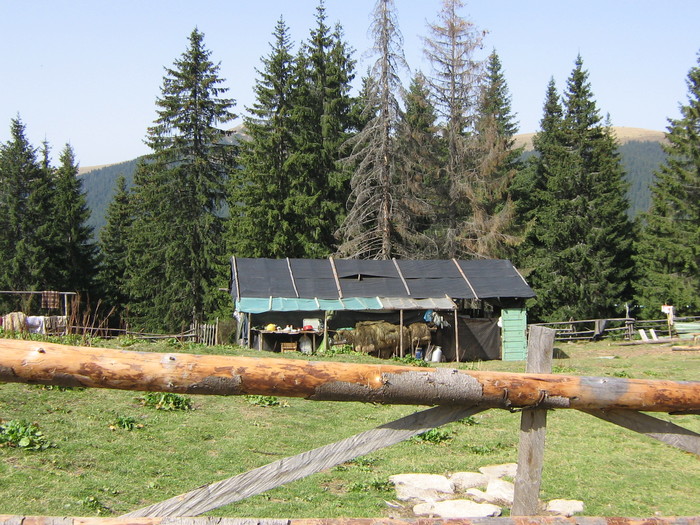 transalpina 07,09,2008 548 - PE TRANSALPINA