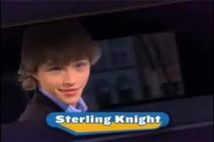yyyyyyyyyyyyyyyyyyy - sterling knight