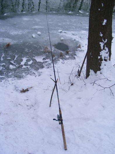 2010_0201Copca0047 - Bistrita
