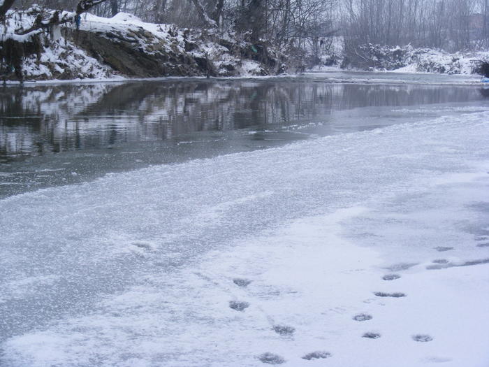 2010_0201Copca0049 - Bistrita