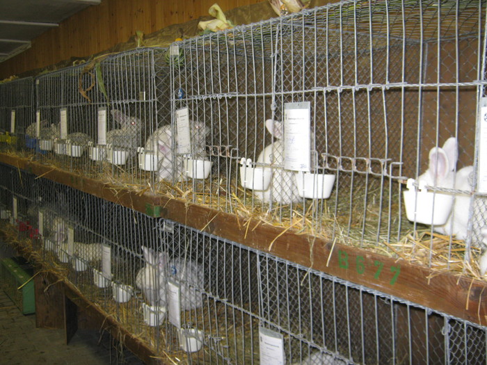 oberzell-ausstellung 061