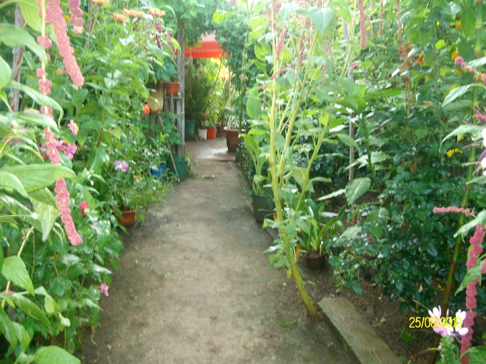 SANY2665
