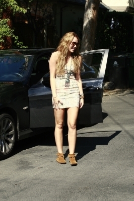 miley (281)