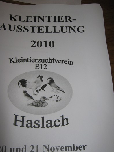 Haslach 023 - expo Haslak-Austria-Straubing-Germania- nov-20-21