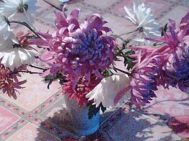 Imag006 - Crizanteme si tufanele