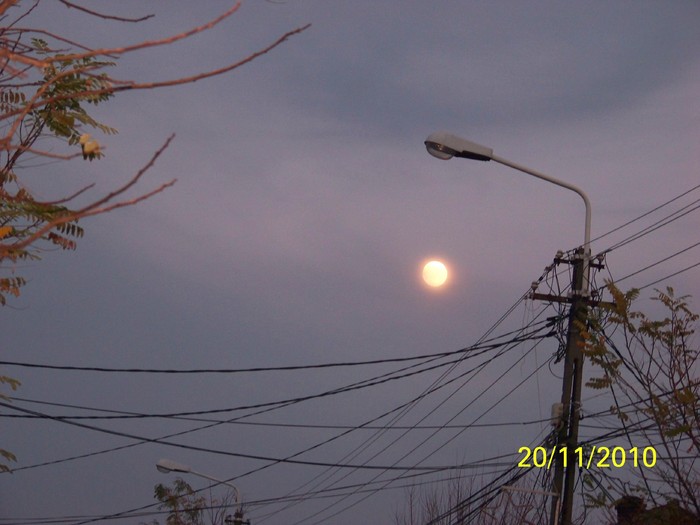 100_3979 - Luna 20 Noiembrie 2010