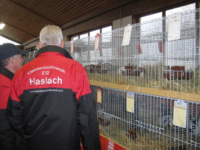 Haslach-alles passt