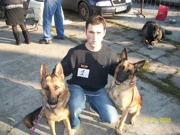 CLUJ expo CACIB 06.11.2010 - Ciobanesc german si ciobanesc belgian malinois cu pedigree GALATI