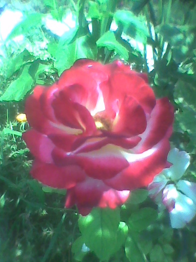 Imag0173