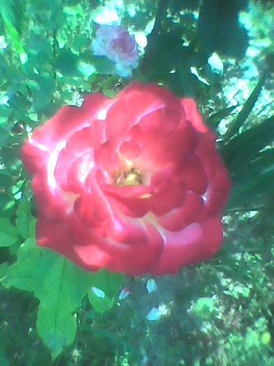 Imag0177