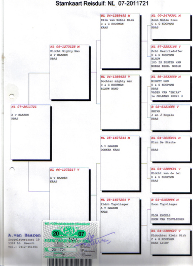 13 - Matca-vanzare totala