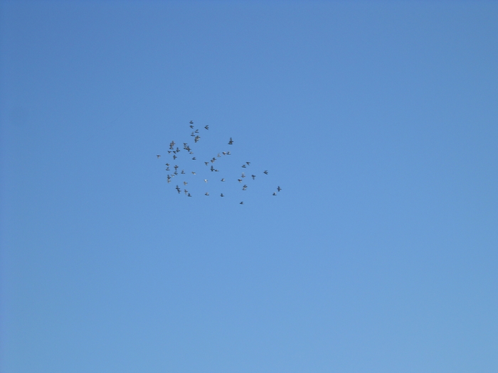 al doilea - spectacol pe cerul senin