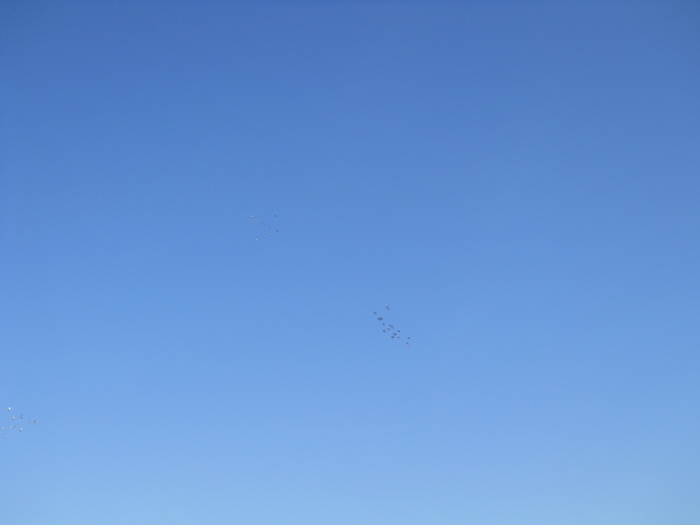 toate trei in departare