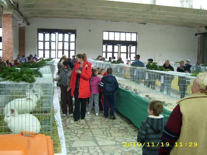 HDP_0013 - EXPOZITIE NATIONALA A UGCPPAM ROMANIA LA SANNICOLAU- MARE 17- 21 Noiembrie 2010