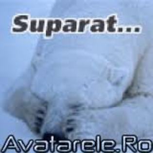 suparat - poze triste