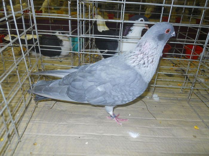 DSCN0643