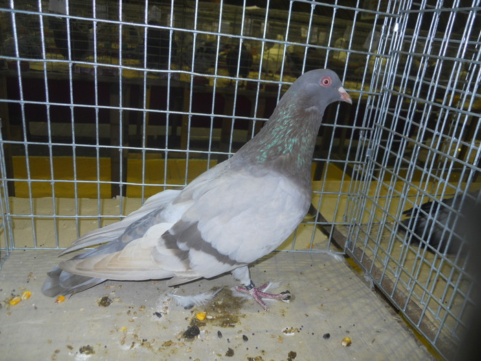 DSCN0649