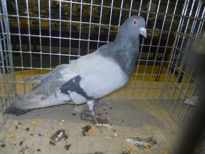 DSCN0650