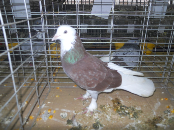 DSCN0945