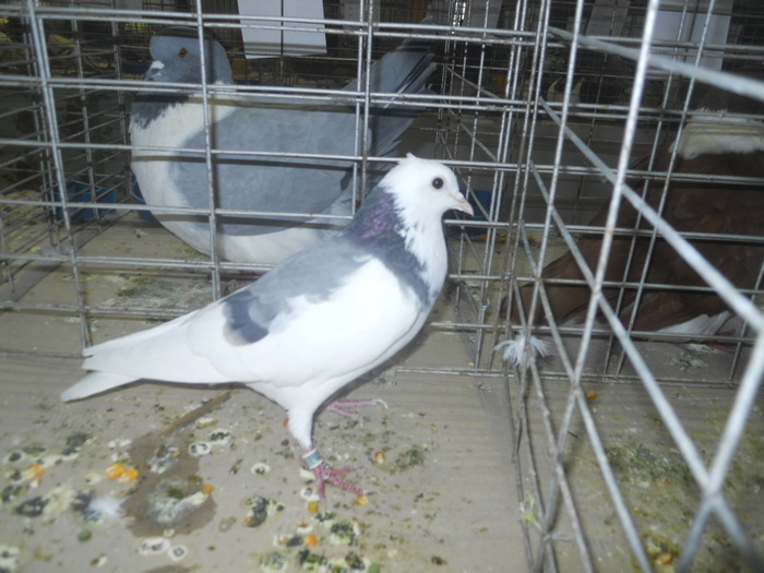 DSCN0949