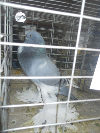 DSCN0954